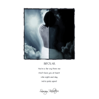 Kunstboek Velvet and Steel