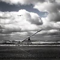 The see-saw
