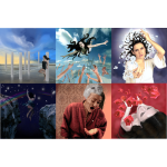 Foto op canvas (verschillende afbeeldingen)