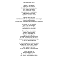 Boek Transparante Dekking