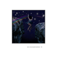 Boek Transparante Dekking