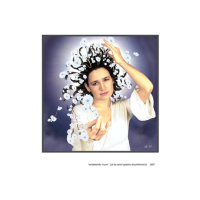 Boek Transparante Dekking