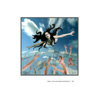 Boek Transparante Dekking