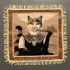 Kussenhoes Classy Cat 55x55cm