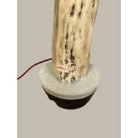 Lamp Boomstam Franje 83