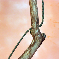 Lamp branch hooked old green 04