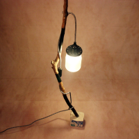 Lamp branch milk carton 05