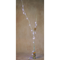 Lamp Branch multifruit zero