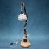 Branch lamp 54