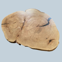 Salontafel Design Boomstam 46