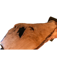 Bijzettafel Design Boomstam 48