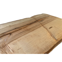 Bijzettafel Design Boomstam 49