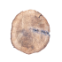Tafeltje 55